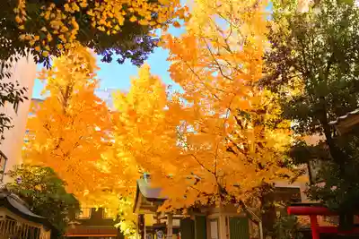 銀杏岡八幡神社(東京都)