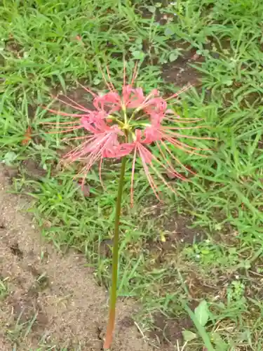 横浜　西方寺(神奈川県)