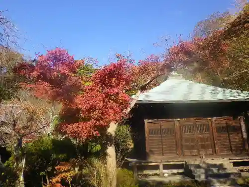 浄光明寺の自然
