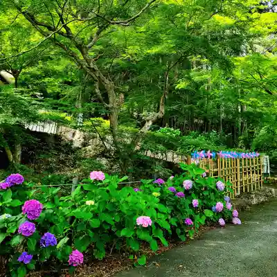普門寺(切り絵御朱印発祥の寺)(愛知県)