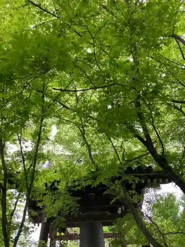 興聖寺(京都府)