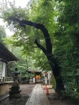 神明氷川神社のその他建物