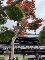 温泉寺(兵庫県)