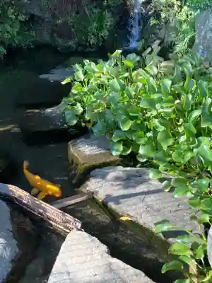 貫井神社(東京都)