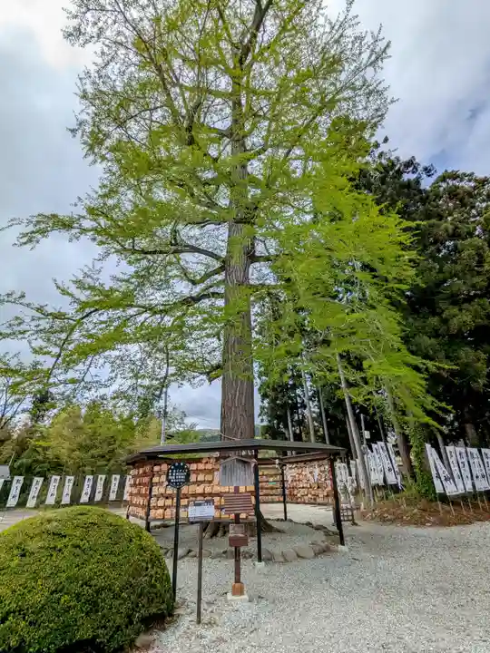 秋保神社(宮城県)