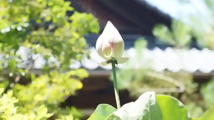 法音院(京都府)