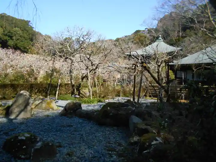 瑞泉寺の庭園