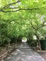 高円寺のその他建物