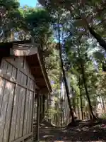 大杉神社(千葉県)