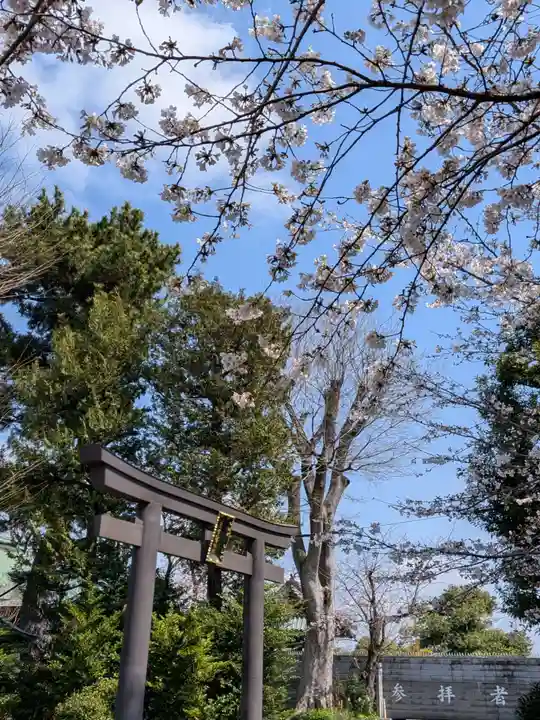 鷺宮八幡神社(東京都)