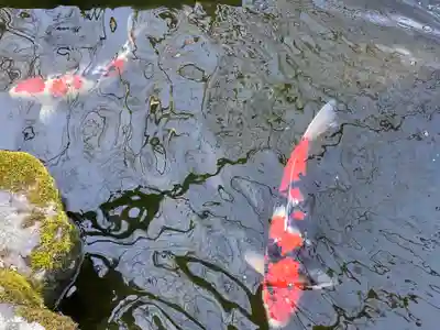 一條殿 新善光寺(京都府)