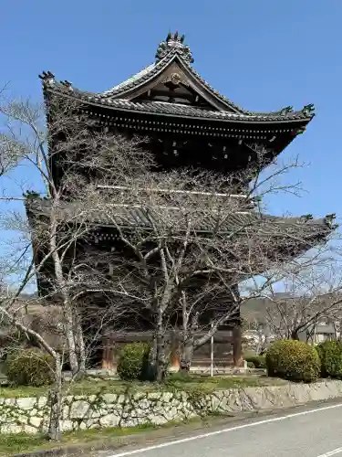 根来寺の{uncategorized: "未分類", other: "その他", undefined: "問題あり", building: "その他建物", grave: "お墓", sacred_gate: "鳥居", guardian: "狛犬", statue: "像", buddha: "仏像", history: "歴史", nature: "自然", garden: "庭園", animal: "動物", pagoda: "塔", temizu: "手水舎", mountain_gate: "山門・神門", sanctuary: "本殿・本堂", subordinate: "末社・摂社", art: "芸術", scenery: "景色", jizo: "地蔵", ema: "絵馬", goshuin: "御朱印", omikuji: "おみくじ", items: "授与品その他", amulet: "お守り", goshuincho: "御朱印帳", eats: "食事", festival: "お祭り", votive_dance: "神楽", shichigosan: "七五三参", wedding: "結婚式", experience: "体験その他", initially: "初詣", around: "周辺", anti_infection: "感染症対策"}