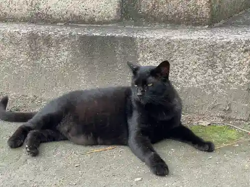 住吉大社の動物
