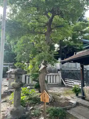 産霊神社(岐阜県)