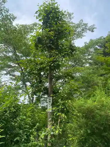 石都々古和気神社(福島県)