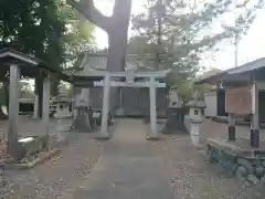 大井神社(静岡県)