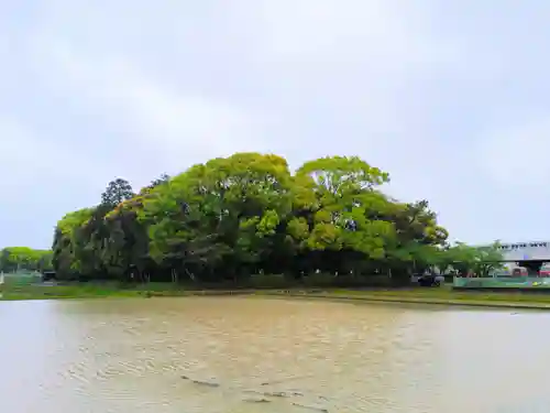 市杵島姫神社のその他建物