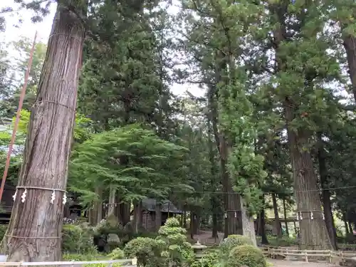 河口浅間神社の庭園