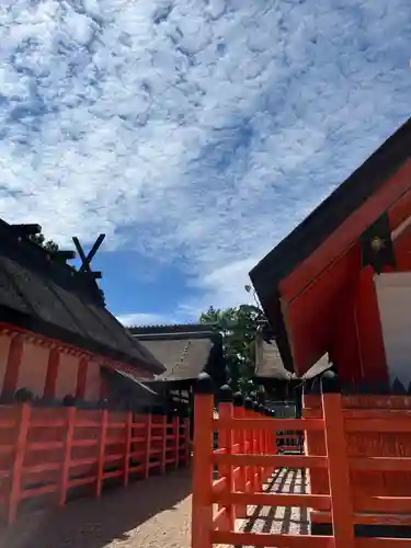 住吉大社(大阪府)