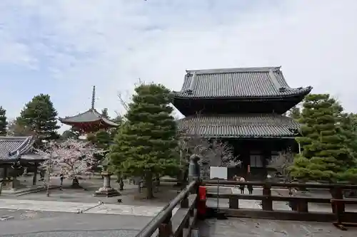 知恩院(京都府)