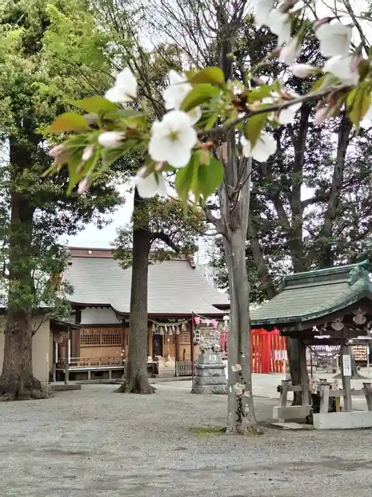 相模原氷川神社(神奈川県)