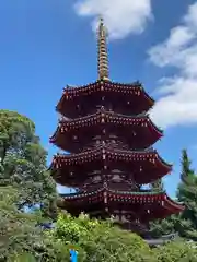 川崎大師（平間寺）(神奈川県)