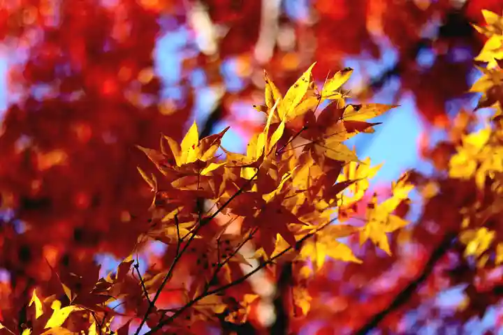 百済寺(滋賀県)