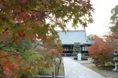 光明寺（粟生光明寺）の本殿