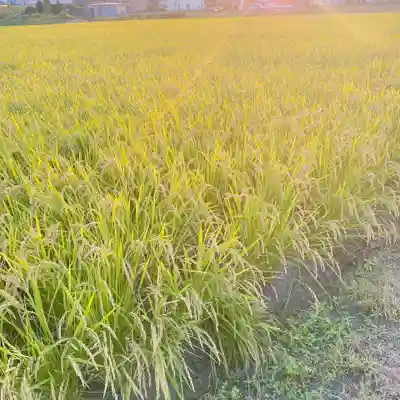 埼玉厄除け開運大師・龍泉寺（切り絵御朱印発祥の寺）の周辺