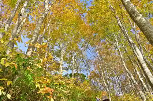 八海神社(新潟県)