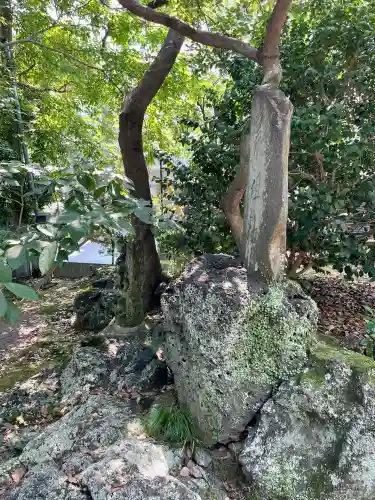 芝岡神社(静岡県)