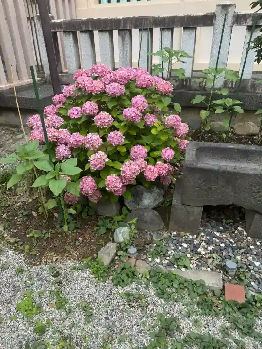 志茂熊野神社(東京都)