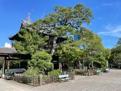 泉岳寺(東京都)