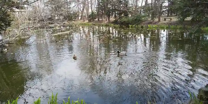 永山神社の動物