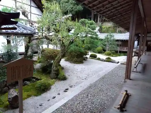 西教寺の庭園