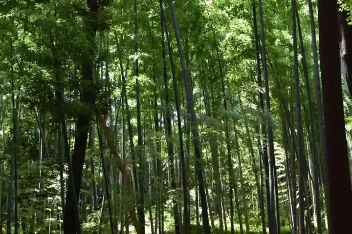 石清水八幡宮の自然