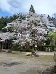 常堅寺の自然