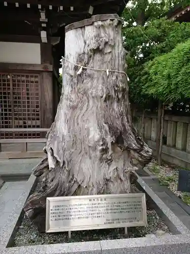 諏訪神社の歴史