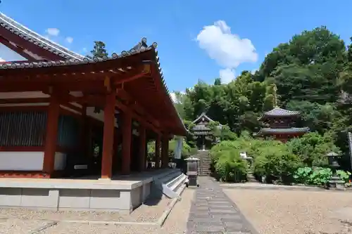 平等寺（三輪山平等寺）(奈良県)