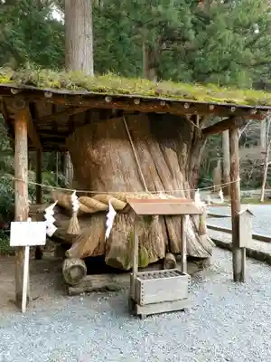 小國神社のその他建物