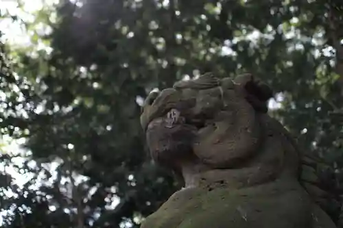 愛宕神社の狛犬