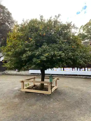 平野神社(京都府)
