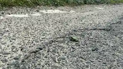須我神社奥宮の{uncategorized: "未分類", other: "その他", undefined: "問題あり", building: "その他建物", grave: "お墓", sacred_gate: "鳥居", guardian: "狛犬", statue: "像", buddha: "仏像", history: "歴史", nature: "自然", garden: "庭園", animal: "動物", pagoda: "塔", temizu: "手水舎", mountain_gate: "山門・神門", sanctuary: "本殿・本堂", subordinate: "末社・摂社", art: "芸術", scenery: "景色", jizo: "地蔵", ema: "絵馬", goshuin: "御朱印", omikuji: "おみくじ", items: "授与品その他", amulet: "お守り", goshuincho: "御朱印帳", eats: "食事", festival: "お祭り", votive_dance: "神楽", shichigosan: "七五三参", wedding: "結婚式", experience: "体験その他", initially: "初詣", around: "周辺", anti_infection: "感染症対策"}