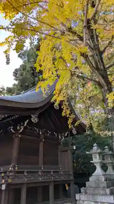 北野天満宮(京都府)