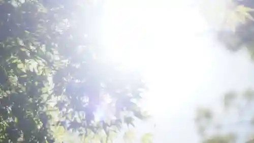 湊川神社(兵庫県)