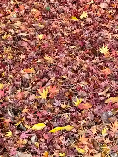 京都乃木神社(京都府)