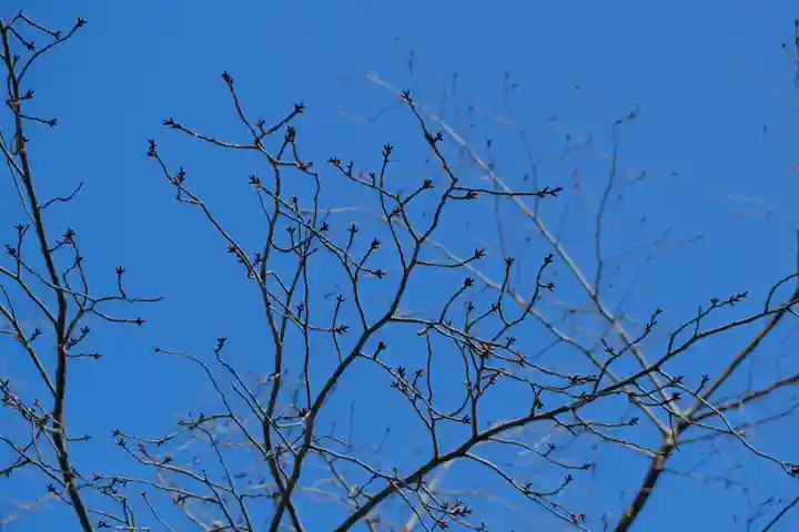 金峯山寺の自然