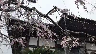 本性寺(愛媛県)