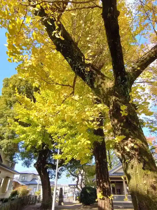 菅原神社(熊本県)