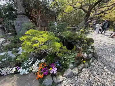 長谷寺の{uncategorized: "未分類", other: "その他", undefined: "問題あり", building: "その他建物", grave: "お墓", sacred_gate: "鳥居", guardian: "狛犬", statue: "像", buddha: "仏像", history: "歴史", nature: "自然", garden: "庭園", animal: "動物", pagoda: "塔", temizu: "手水舎", mountain_gate: "山門・神門", sanctuary: "本殿・本堂", subordinate: "末社・摂社", art: "芸術", scenery: "景色", jizo: "地蔵", ema: "絵馬", goshuin: "御朱印", omikuji: "おみくじ", items: "授与品その他", amulet: "お守り", goshuincho: "御朱印帳", eats: "食事", festival: "お祭り", votive_dance: "神楽", shichigosan: "七五三参", wedding: "結婚式", experience: "体験その他", initially: "初詣", around: "周辺", anti_infection: "感染症対策"}